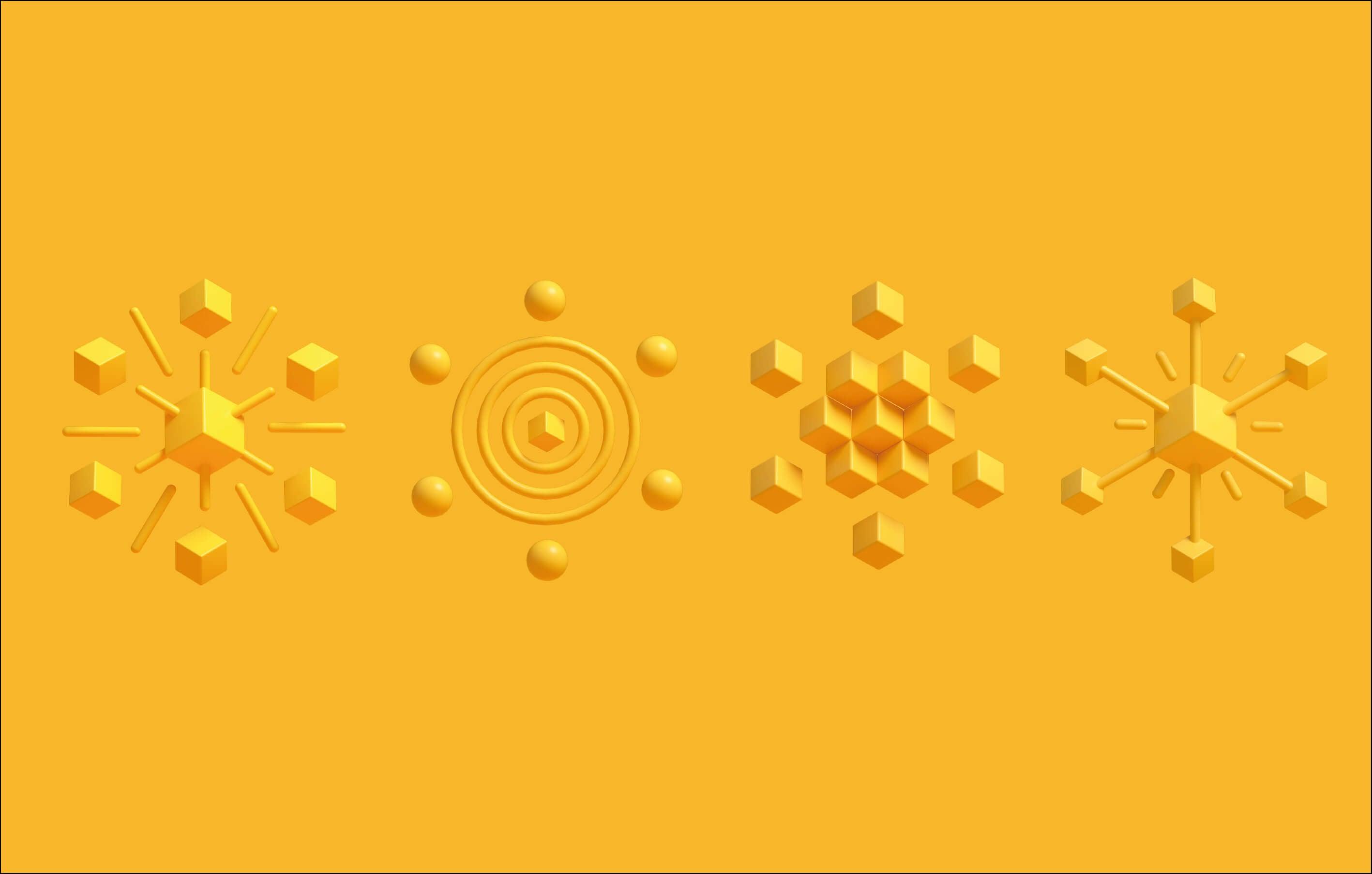 金龟籽 - helibrand